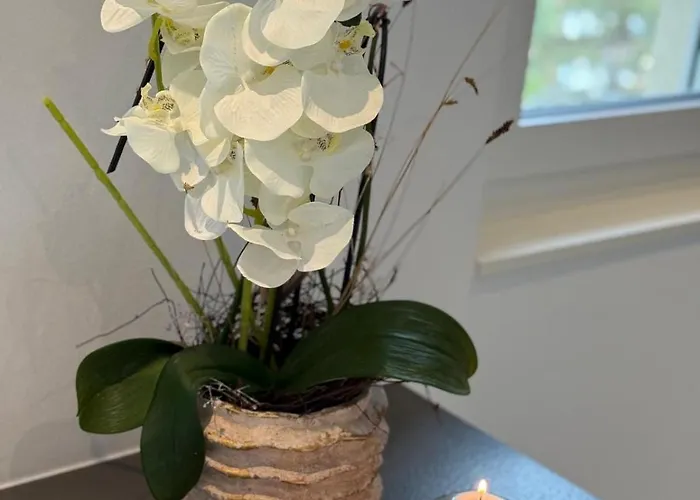 Casa Delle Stelle 公寓 采尔马特